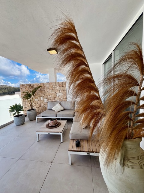 IMG_3421 normaal.jpeg